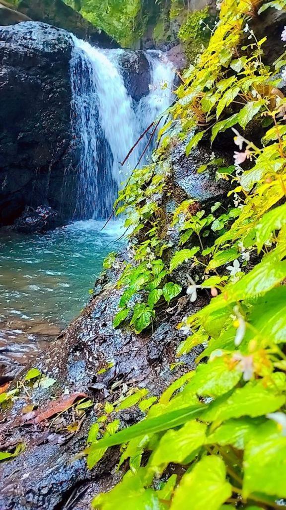 Sahaydri Hill View Agro Tourism - Farm Resort Ghatghar Экстерьер фото